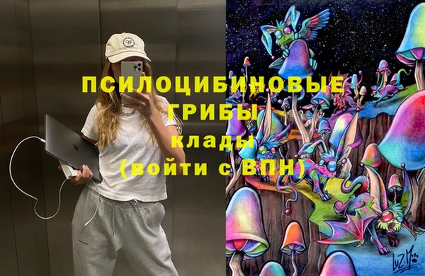 молекула духа Алексеевка