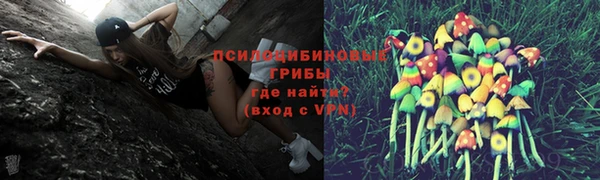 первитин Заречный