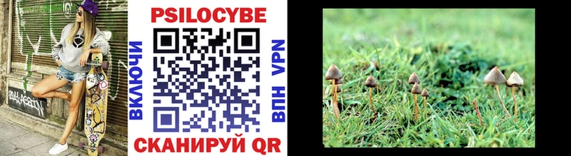 Псилоцибиновые грибы MAGIC MUSHROOMS  магазин  наркотиков  Боготол 